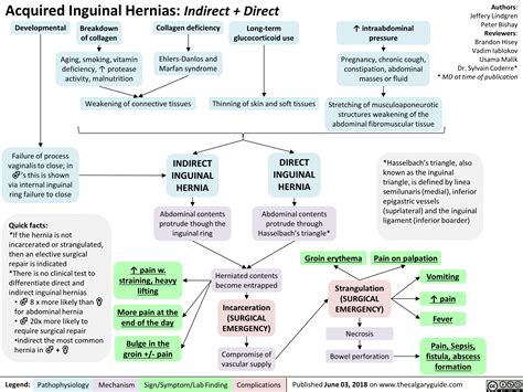 pathophysiology of inguinal hernia pdf